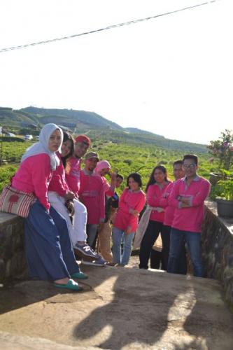 DSC 0305